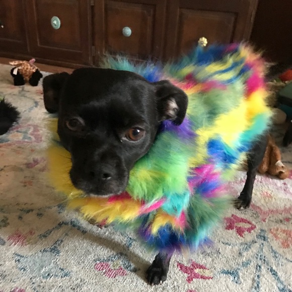 Meet your Posher, Aly - Picture 1 of 1